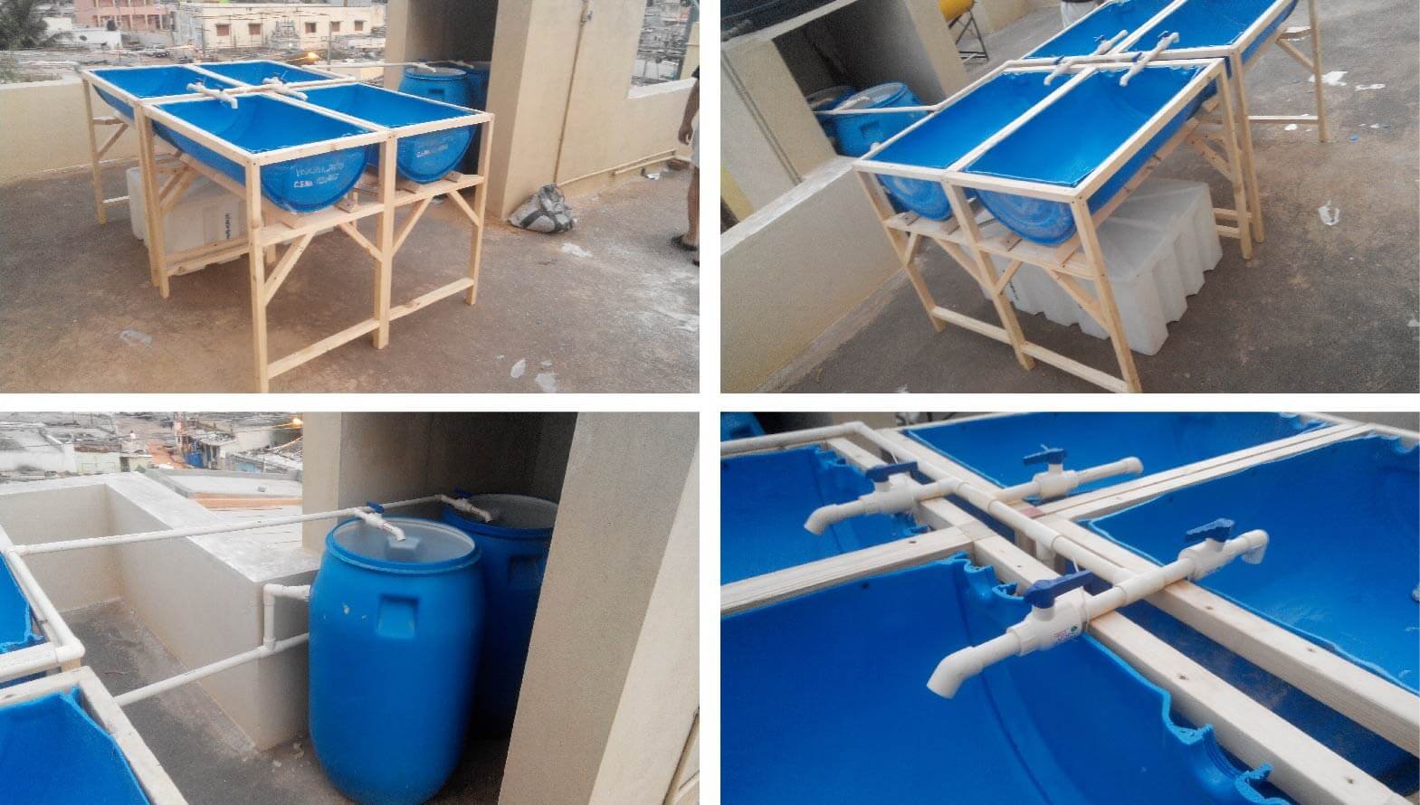 barrel aquaponics split