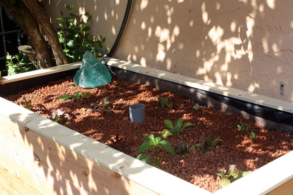 aquaponics growbed with pond liner