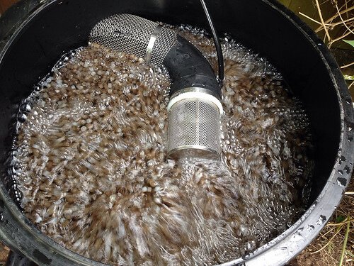 moving bed bio filter