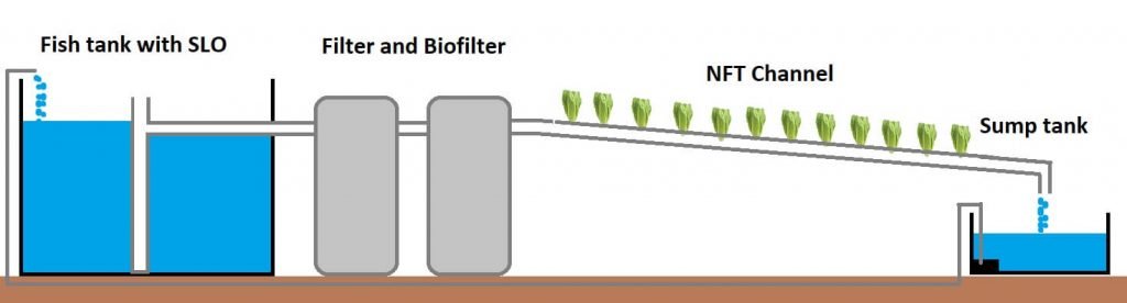 nft aquaponics simplified