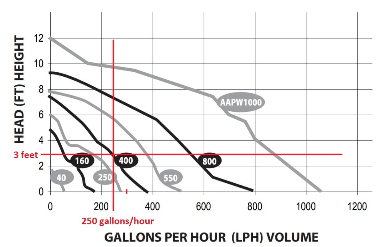 example of head height